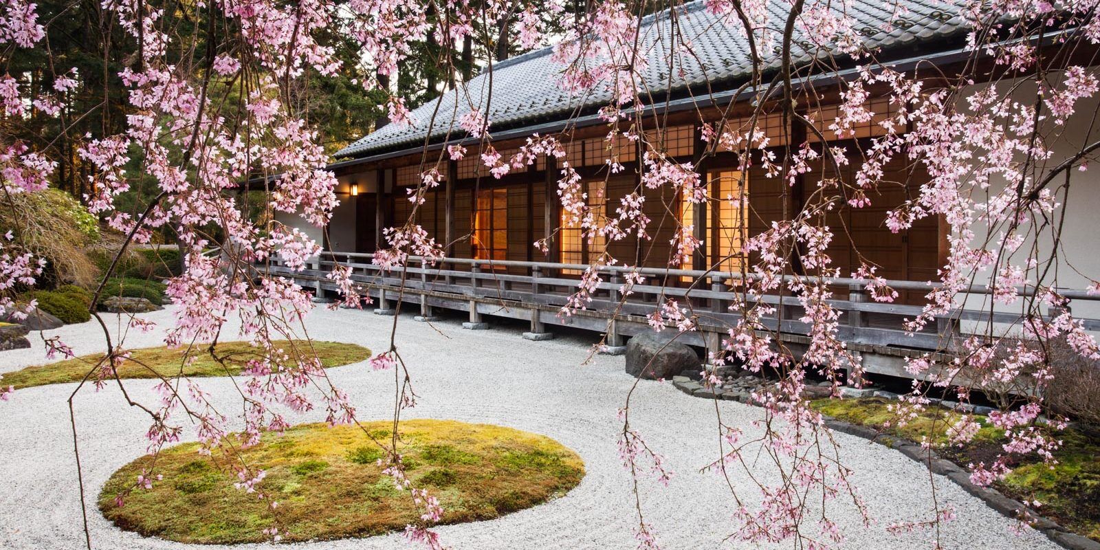 Wabi Sabi - Vẻ đẹp của sự không hoàn hảo